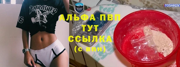 PSILOCYBIN Пестово