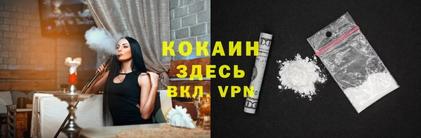 индика Пересвет