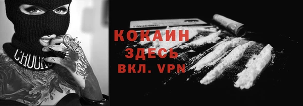 PSILOCYBIN Пестово