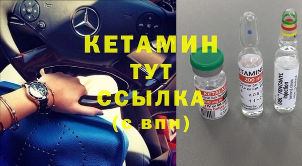 индика Пересвет