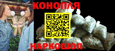 дживик Гай