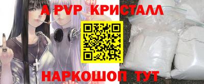 дживик Гай