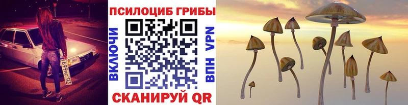 Галлюциногенные грибы прущие грибы  Майский 