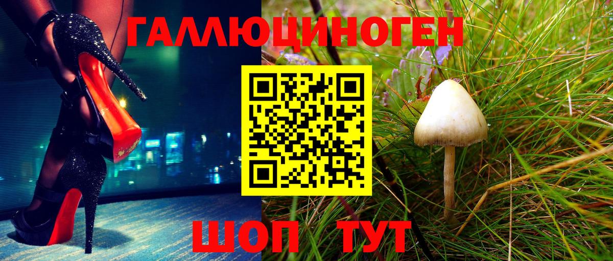 Галлюциногенные грибы Psilocybine cubensis Майский