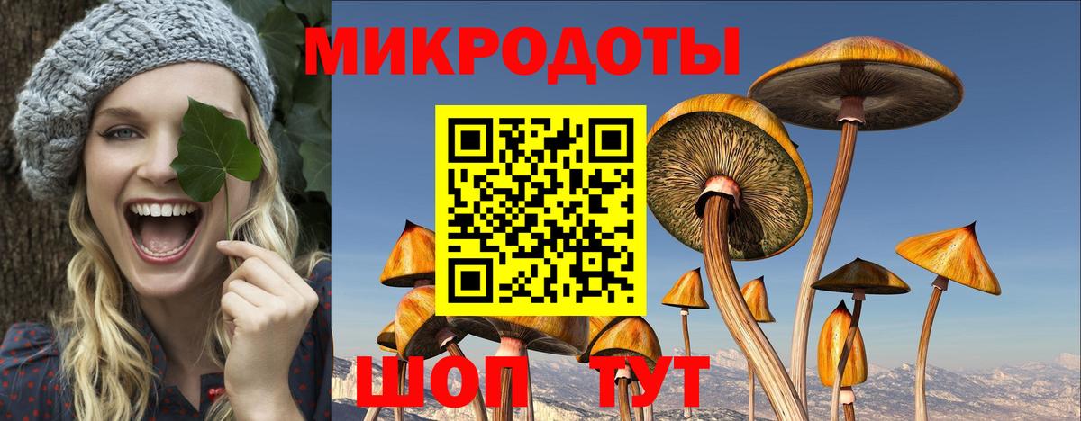 Псилоцибиновые грибы ЛСД Майский