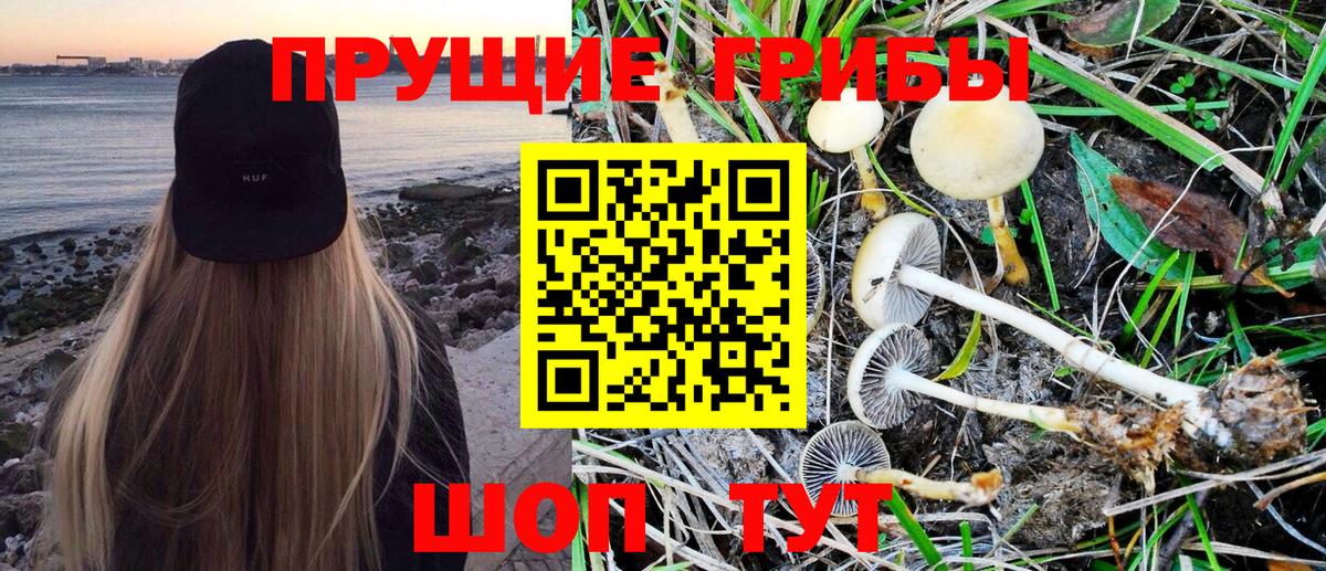 Галлюциногенные грибы Magic Shrooms  Галлюциногенные грибы MAGIC MUSHROOMS  цены   Вход с VPN  Майский 