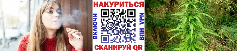 Конопля гибрид  наркошоп  Майский 